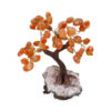 Carnelian Bonsai Tree - Crystal Dreams