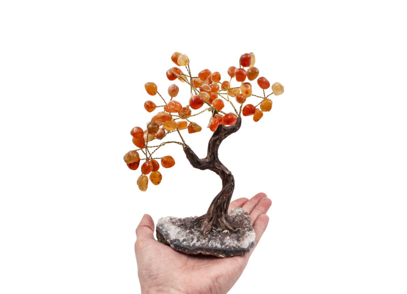 Carnelian Bonsai Tree - Crystal Dreams