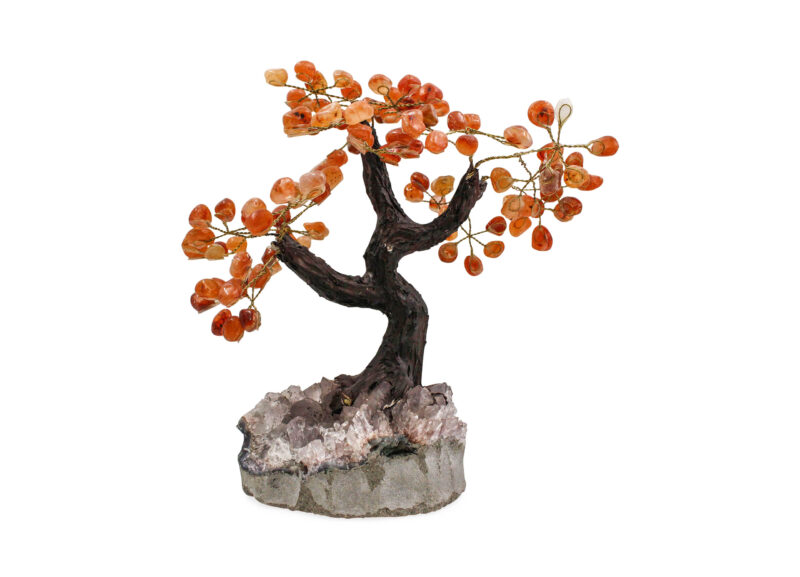 Carnelian Bonsai Tree - Crystal Dreams