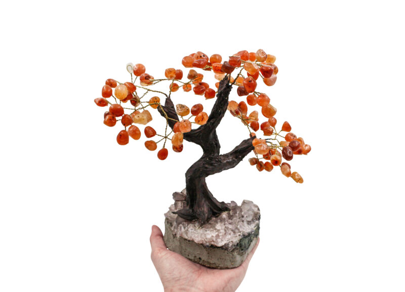 Carnelian Bonsai Crystal Tree (M or L)