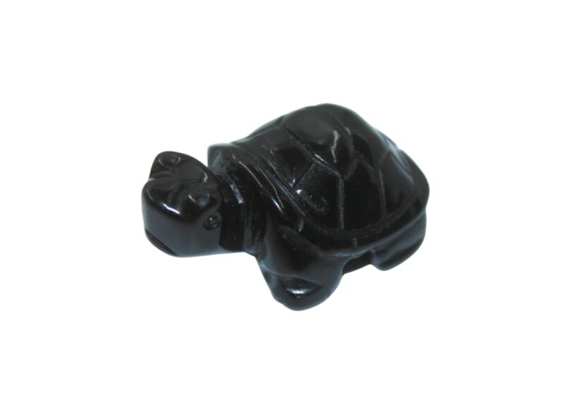 Onyx Tortoise