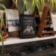 Crystals and spiritual books displayed in a crystal shop inspired by biblical symbolism