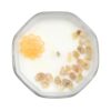Sun Candle with Crystals - Crystal Dreams