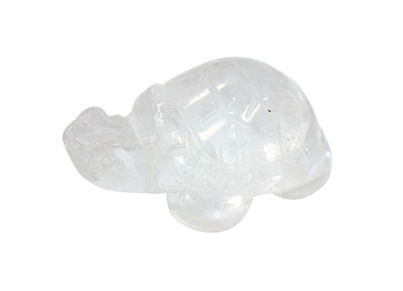 Clear Quartz Tortoise - Crystal Dreams